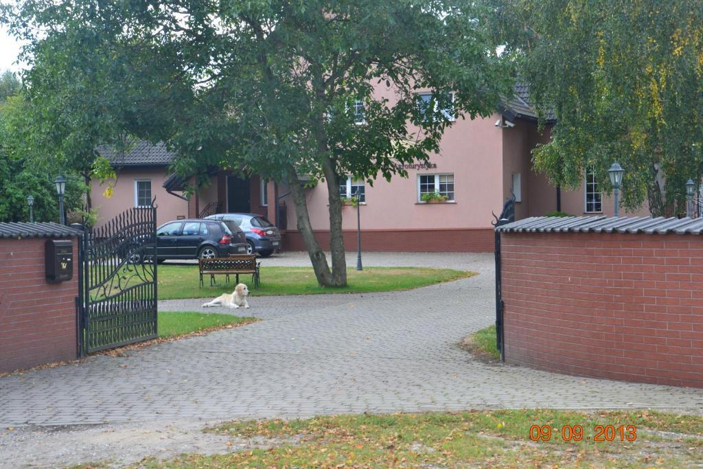 Domki W Zaciszu Русь Номер фото